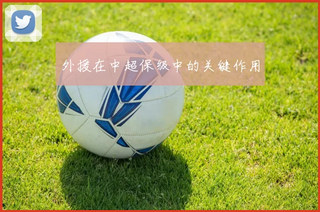 外援在中超保级中的关键作用