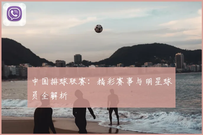 中国排球联赛:精彩赛事与明星球员全解析